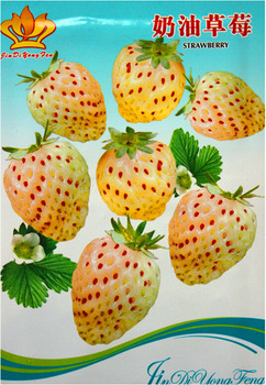 White Cream Strawberry Seeds, Original Pack, 20 Seeds / Pack, Organic Delicious Berries #JDYF001