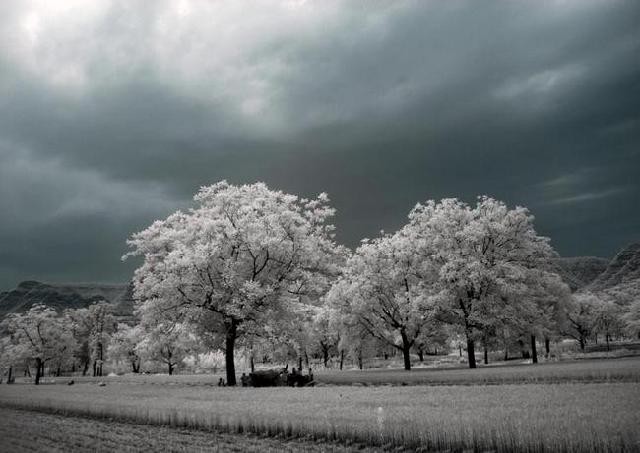 IR FILTER PICTURE (5)