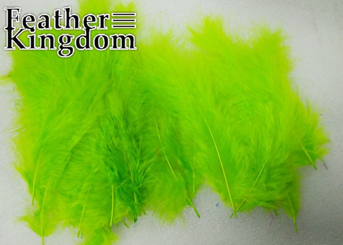 light green Turkey feather 1