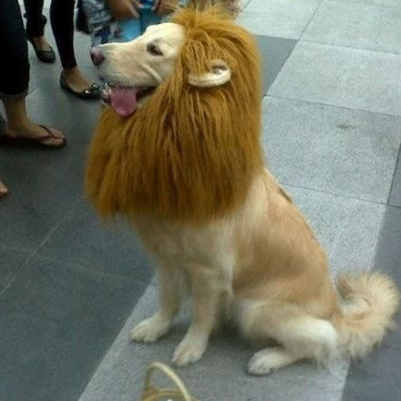 Pet-Costume-Lion-Mane-peluca-con-el-o%C3%ADdo-para-perros-de-fiesta-de-Halloween-Festival-disfraz.jpg