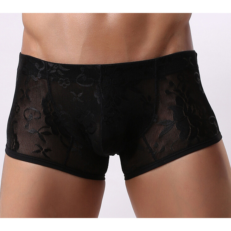 M XL New Men Underwear Pants Transparent Lace Sexy Low Waist Breathable Briefs