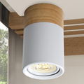 Wood Downlight LED Lights 3W Living Room Bedroom 90 260V Ceiling Lamps adjustable angle LED Indoor