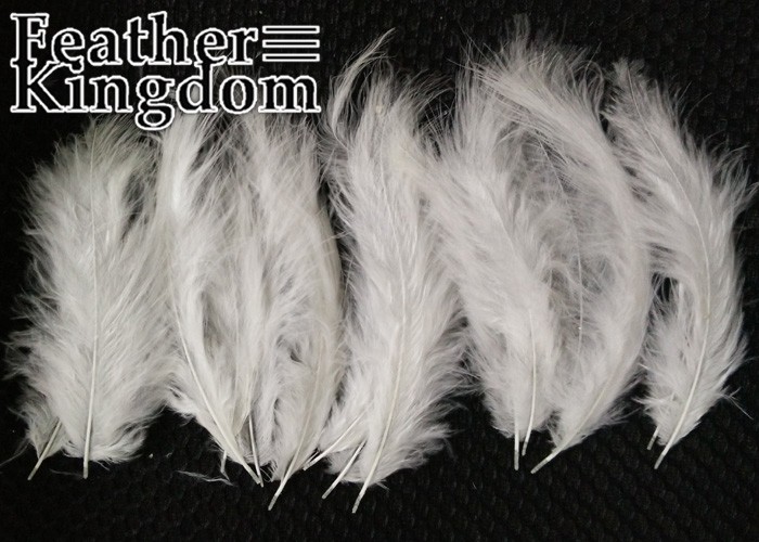 white Turkey feather