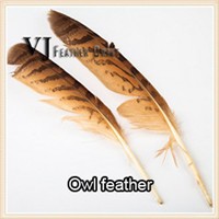 feather13