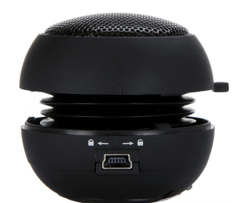 2505040788_1723446656