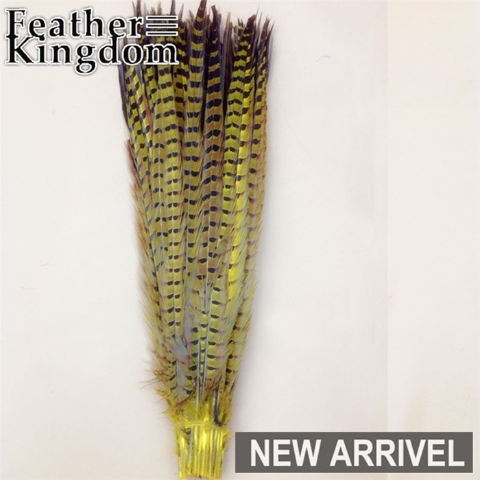 yellow ringneck pheasant feathers 1