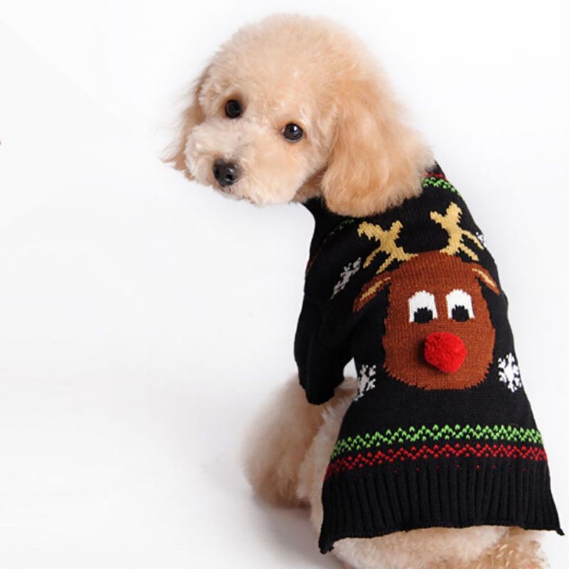 dog christmas outfit