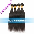 Charming 8A Brazilian Remy Hair Straight 4Pcs Virgin Hair In Human Hair Extensions