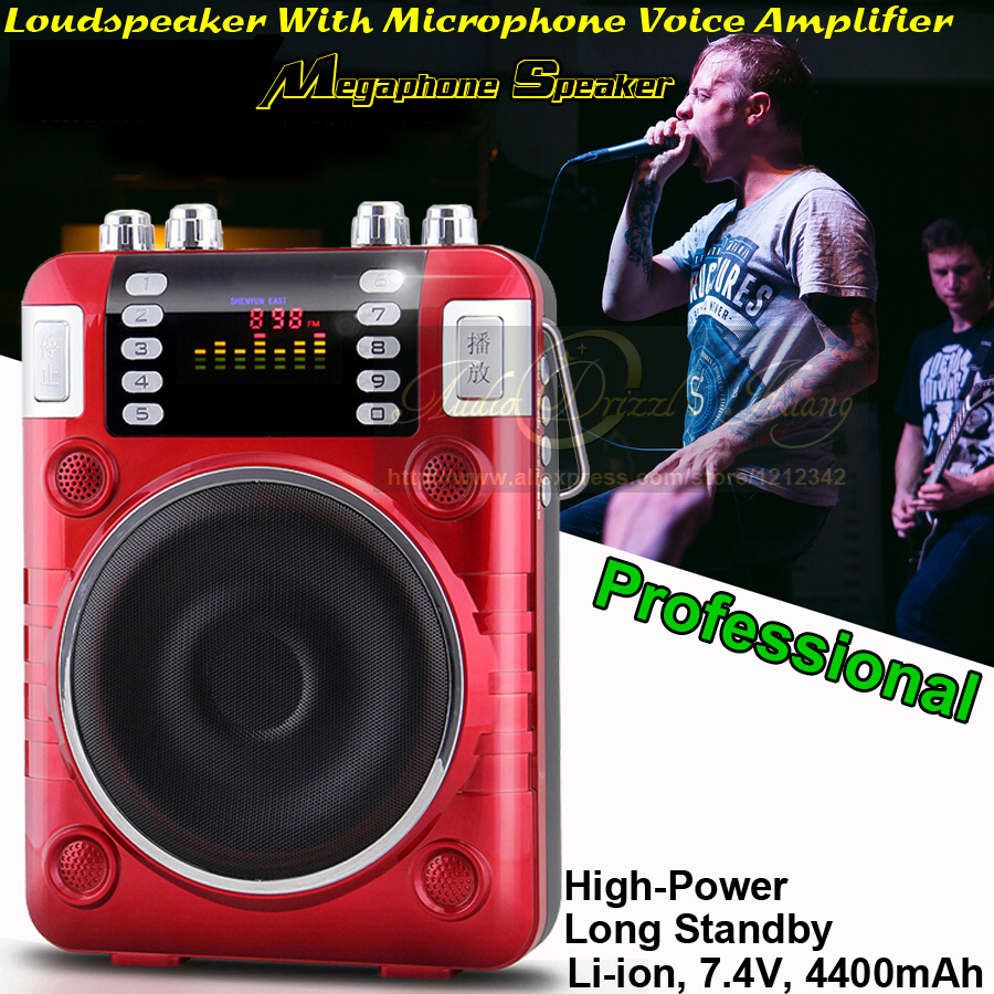 100W Mini Altavoz Enceinte Portable font b Speaker b font FM Radio MP3 Reverb Effect Subwoofer