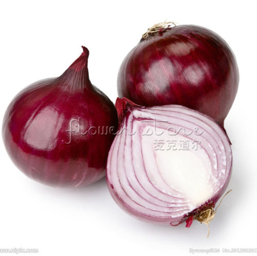 Image of 200 Onion RED Creole Great Vegetable Seeds~Organic~, great popular healthy vegetable