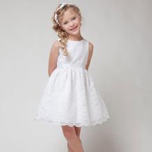 2015 SUMMER NEW ARRIVAL children clothes girls beautiful lace dress quality baby girls dress teenager kids