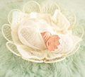 Chic Newborn Basket Baby Nest Photography Props High Quality Iron Baby Seats Flower Pattern Baby Posing