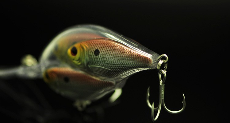 TB2LJNucFXXXXX4XpXXXXXXXXXX_!!1629678813