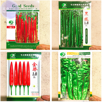 BELLFARM Jintai Red Line Pepper (green line, jinjiao 1.0 F1, pig intestines pepper), 1000 Seeds, heirloom super fine seeds E4201
