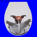 toilet lid cover standard closing 2017 high quality colorful toilet seat cover set hot selling fashion