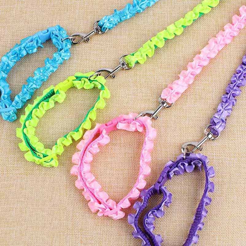 Petits Chiens Promotion-Achetez des Petits Chiens Petits Chiens Promotion-Achetez des Petits Chiens