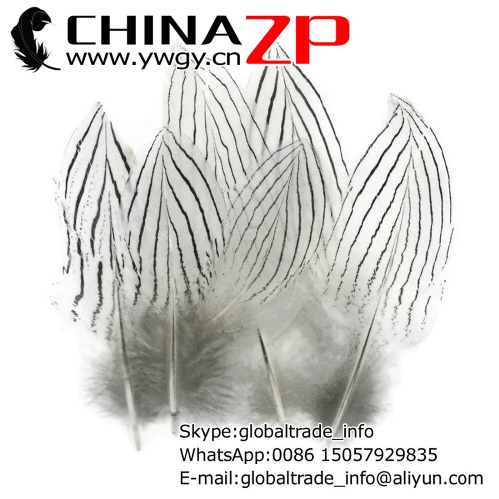 Silver Pheasant Feathers, 1 Pack - NATURAL Silver Pheasant Plumage Feathers333