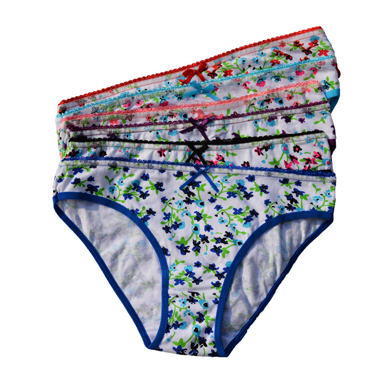 FUNCILAC Women Underwear Cotton Floral Print Everyday Style Briefs Ladies Panties Knickers Lingerie Intimates (5pcs/lot) 1 (5)