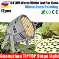 12XLOT DMX Waterproof IP20 Indoor White Led Par Light Warm White 54 3W Stage Led Par