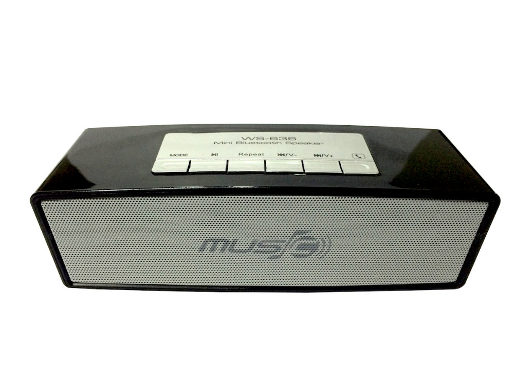 music speaker altavoz-IMG_8301