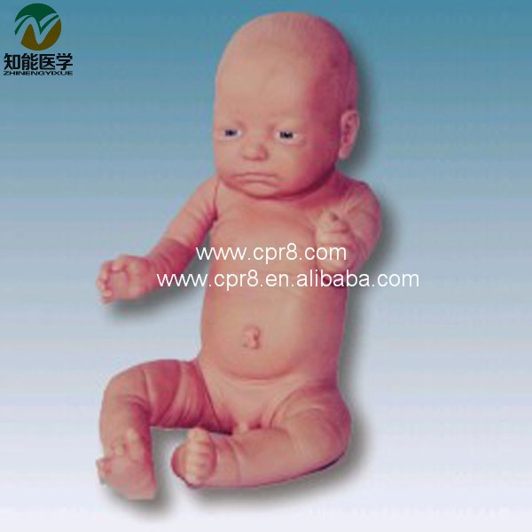 BIX-FT1 Full-term infants model_01