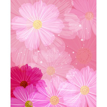 Photography Background Studio Backdrop Vinyl Chromakey Pink Fresh Fresh Warm Flower, Newborn Preferred For Photos