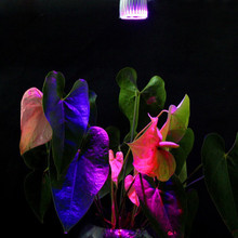 1pcs LED Full Spectrum E27 10W Grow lights 3 Red 2 Blue for flowering plant and