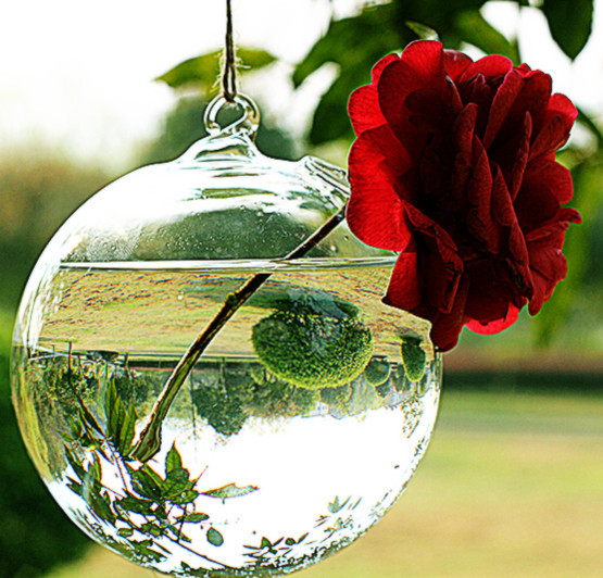 Free shipping ,12cm hanging glass bubble ball, clear flower vase,home