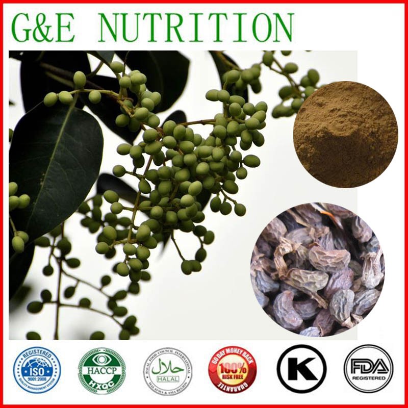 Hot sale Glossy privet fruit extract 1000g