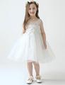 Lace embroidery round neck dress children dress girls white wedding dress girls clothes