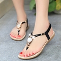 Summer Women Sandals 2016 Flat Ladies Beach Sandalias Mujer Bohemia Flip Flop Female Crystal owl sandal