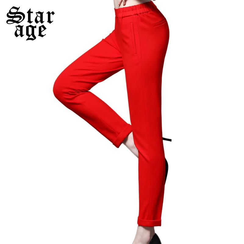 plus size red slacks