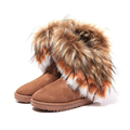 Furry Winter Snow Boots Ugs Women Fashion Tassels Fur Ankle Boot for Women Warm Casual