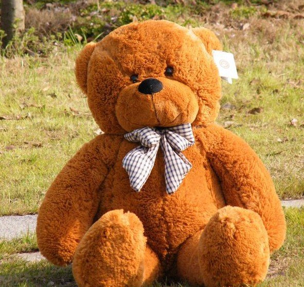 teddy bear images big size price