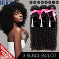 HERS Afro Kinky Curly Hair Peruvian Virgin Curly Hair 3 Bundles Afro Kinky Human Hair Weave
