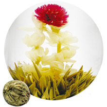 flower tea jasmine Dragons Beauty Preserve Health Delicacy Skincare Prolong Longevity 1lot 10pcs Fresh blooming tea