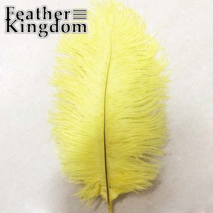 yellow ostrich feather