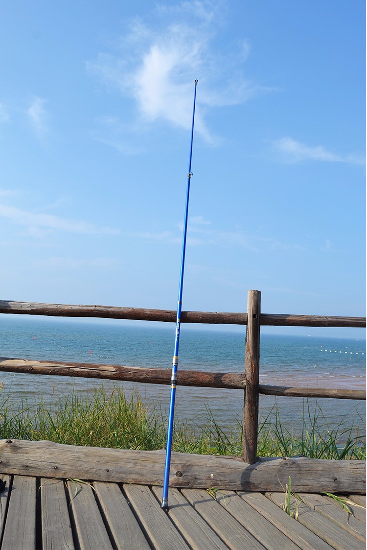 Carbon Boat Fishing Rod Telescopic Trolling Rods Hard Troll Jigging Jig