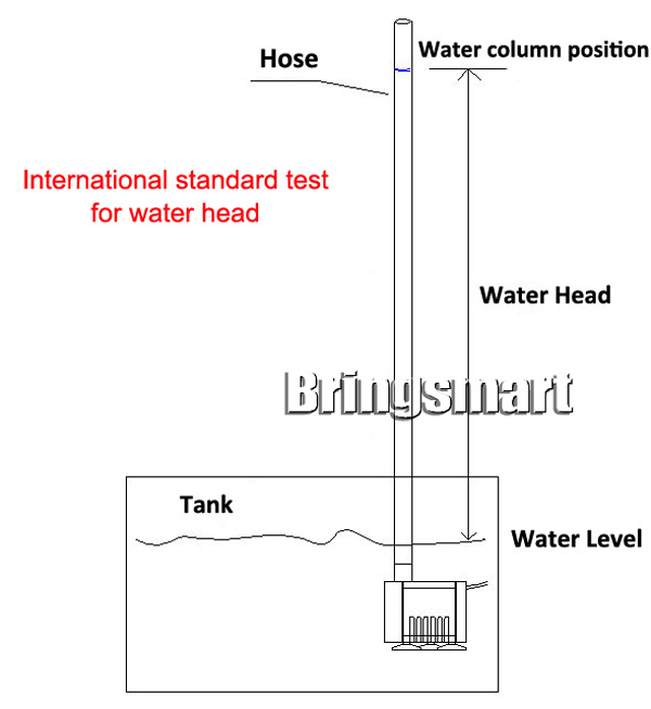 head_title lazy