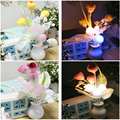 High Quality Bedroom Light Romantic Light Sensor Led Night Light 110V 220V Led Color Change Bedside