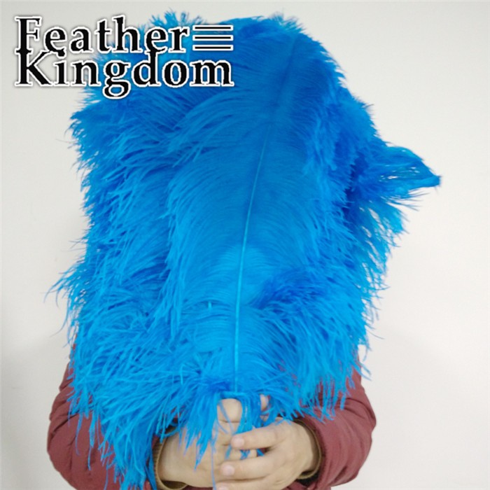 50-55cm turquoise ostrich feather 1