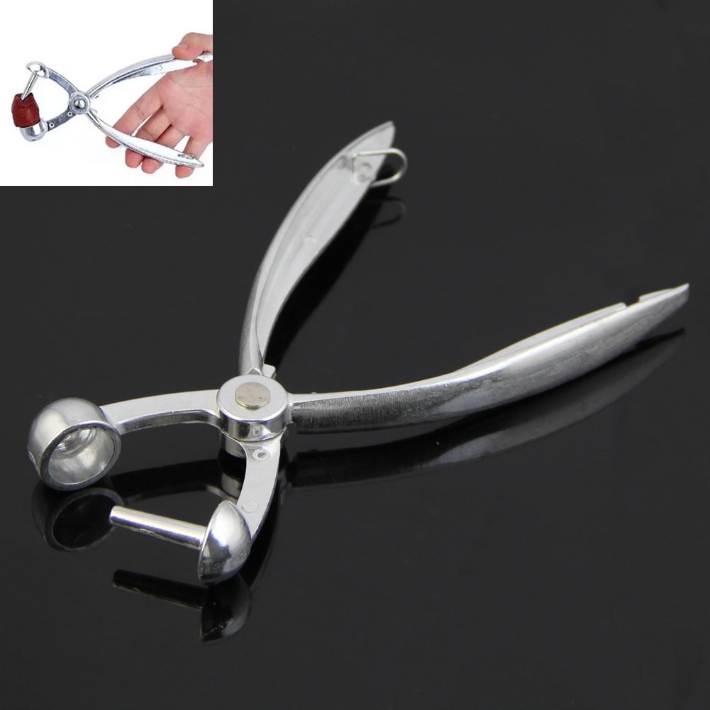 FSLH  Cherry   Pitter     Squeeze  