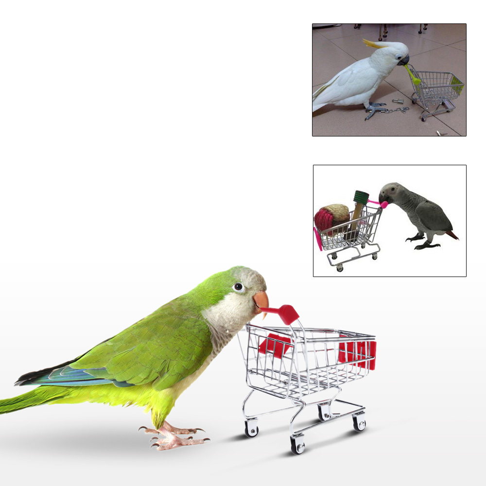            Conures  Cockatiel papegaaien speelgoed 5 