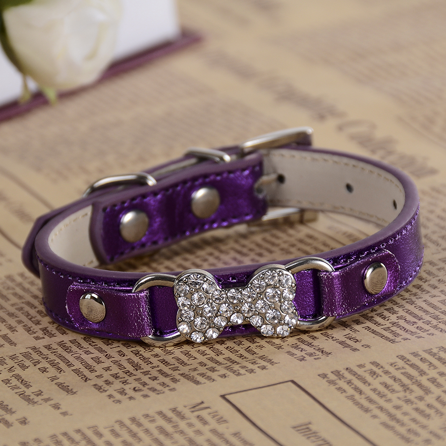 Friendship collar coupon code