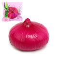 1 Pieces lot 10cm Jumbo Squishy Onion Scented Super Slow Rising Original Package Wholesale