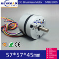 Circular Fuselage and Hall feedback 36V DC 4000rpm 57mm 23W 3 phase Brushless DC Motor