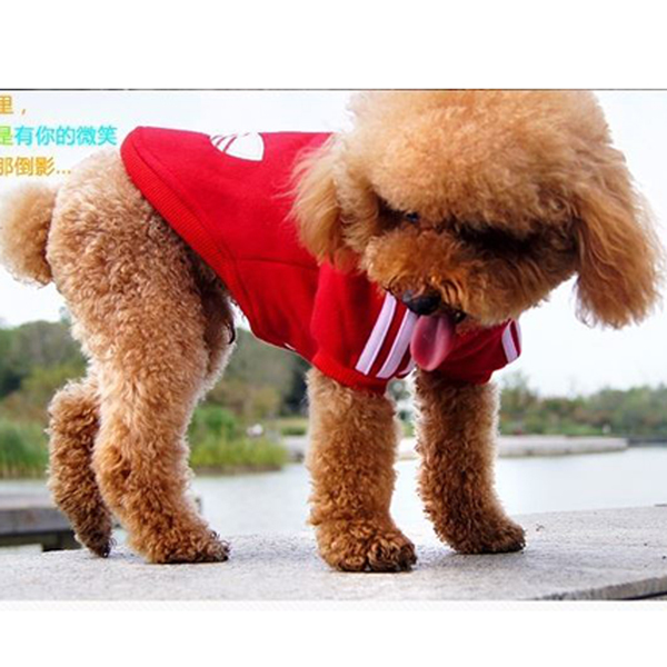 Fashion Small Dog Cat Pet Puppy Clothes Hoodie Jacket Sport Sweater Costumes Coats Soft Cotton Size