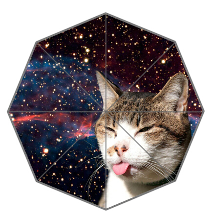           Space Cat  Galaxy  3     