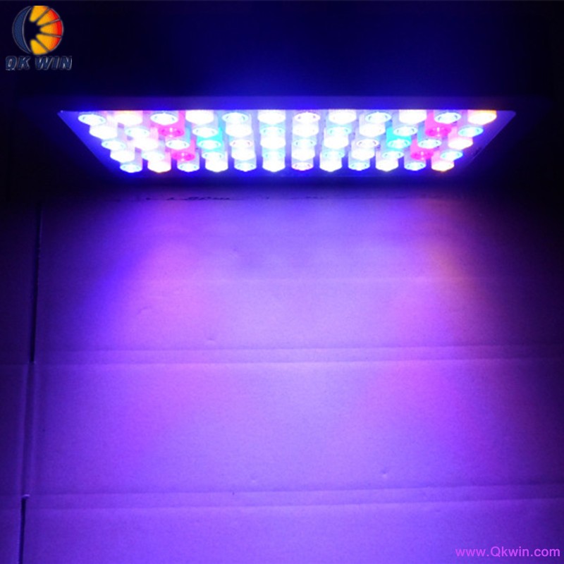 60x3W led aquarium light