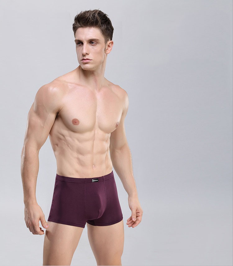 Hot sale men boxers Bamboo fiber Men Underwear U convex corner mens modal Solid pants high Quality Boxers Shorts wholesale L-3XL (1)